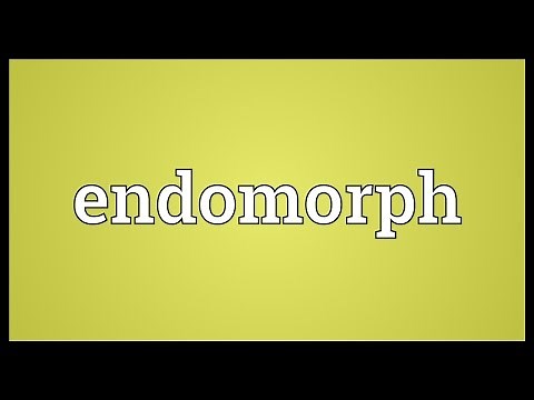 Endomorph Meaning