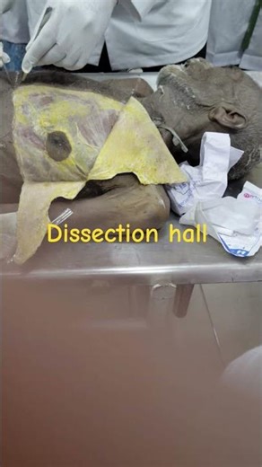 #mbbs government medical college karauli dissection hall
