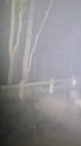 Only for camping 🏕️ lovers 😜 because few dare to stay alone 🙈😂 #RotaryClub #carpark #taimoshan #camping #hongkong #hiking | 𝔼𝕩𝕡𝕝𝕠𝕣𝕖 ℍ𝕂