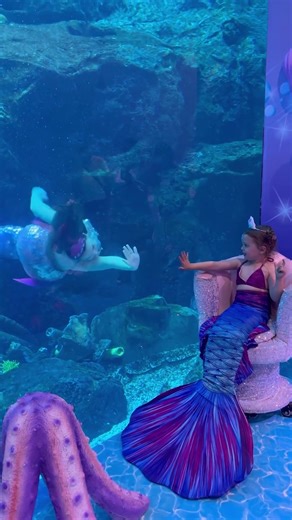 21K views · 87 reactions | Pienten merenneitojen unelmakohde  Sukella taianomaiseen maailmaan Mermaids of Arabiassa  #VisitDubai | Visit Dubai | Facebook
