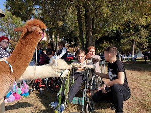 Alex Daragiu, a.k.a. Alpaca Legion, a făcut o surpriză copiiilor îngrijiți de Hospice Casa Speranței