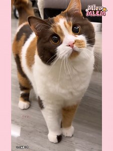 25K views · 1.2K reactions | Trời ơi, ẻm dễ thương  | Mlem mlem | Facebook