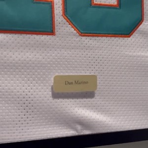Miami Dolphins Dan Marino Jersey Framed, Dan Marino Shirt Framed, Miami Dolphins Jersey 21'' X 29'' Inches - Etsy Australia