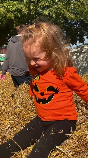 104 reactions | Next up, Harvest Fair 癩 | Wisconsin State Fair | Facebook