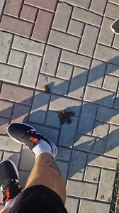 When dog shit is life , you will never suffer from shitty shoe stinky poo💪💪💪💪 | Trails 'n' Tails Dog Walking Limerick