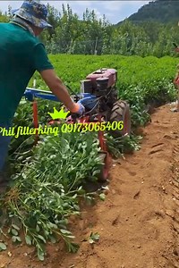46K views · 190 reactions | Philippines Filter King Mini Hand tractor on Reels | Facebook