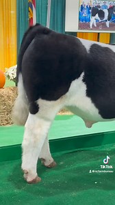 NC State Fair Sale of Champions. #NCFarmBureau | N.C. Farm Bureau