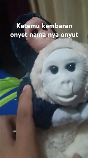 ketemu kebaran onyet nama nya onyut