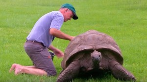 184-year-old tortoise named Jonathan gets his first bath ever