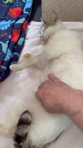 Humane Society of Union County (North Carolina) on Reels