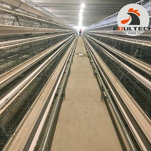 [Hot Item] Automatic Chicken Cage Egg Chicken Layers Cage and Fully Auto-Equipment