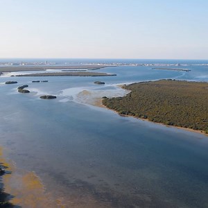 Working at Bosch means unity through a clear mission, focus, and...