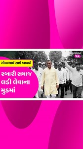 Gova Rabari સામે બળવો, રબારી સમાજ લડી લેવાના મુડમાં #govarabari #gujaratcongress #mavjidesai Gova Rabari એ વિરોધીઓને જવાબ આપવા રબારી સમાજના લોકોને એકઠા કર્યા હતા. થોડા દિવસો પહેલા ડીસા માર્કેટિંગ યાર્ડમાં ગોવાભાઈ રબારીનો ડિરેક્ટરોએ વિરોધ કર્યો હતો. જે બાદ હવે શું કહ્યું ગોવાભાઈએ સાંભળો... | Gujarat Tak