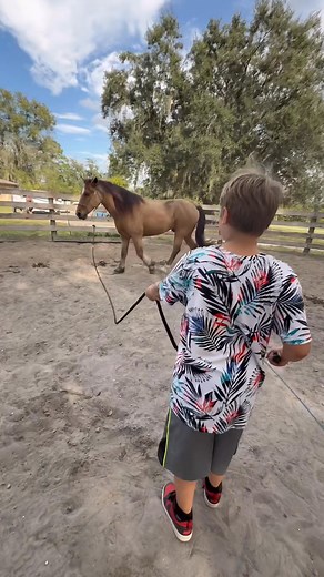 Our learners work hard each week to earn Acton bucks and they get to use it in so many different ways! Some learners even trade them for time with the horses. Love to see how much they enjoy it!!! | Acton Academy Alva