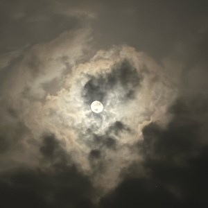 YonkeyYeYuffy - Twitch