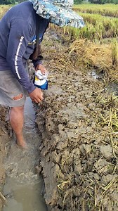 153K views · 1.1K reactions | tara samahan nyo po kaming makitanim ng kalabasa at ng makita nyo narin po ang diskarte namin sa pag tatanim | MACsasaka | Facebook