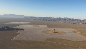 Ce patesc pasarile care zboara deasupra celei mai mari centrale solare din lume