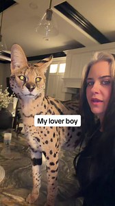 Mama's Lover Boy — Cute Pet Moments Compilation