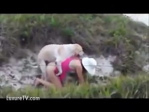 Dog Knotting Public Aso Looking for help