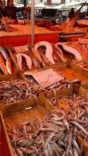 Street food tour Palermo #foodtravel #streetfood #foodtour #foodiesofinstagram #foodexperience | Chef Melina Puntoriero