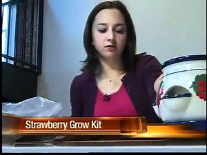 Does it work? Grow your own with a kit