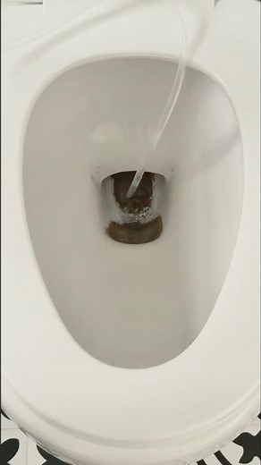 How to Remove Hard Water Stains from Toilet Bowl | Get Rid of 2 Years Worth of Hard Water Stains