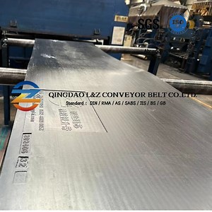 [Hot Item] Hot Selling Chinese Elevator Belt for Bucket Elevator Conveyor