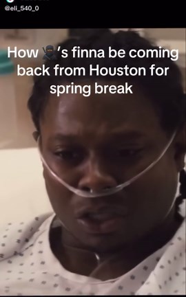 Spring Break in Houston: A College Perspective