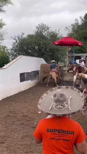 #fyp #horse #coleadero #competition #chicago