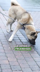 43 reactions · 17 shares | La vérité que personne n’ose dire : les...