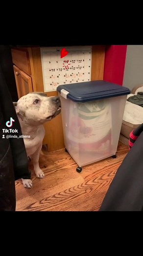 Linda's Heartfelt Monday Message