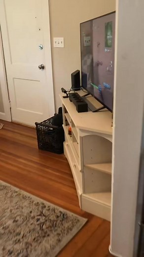 So I had to unplug my boyfriends PlayStation today🙄🎮😂 #boyfriend #gamer #funcouple #couplethings #lol #foryou #fyp | The RealHammytv