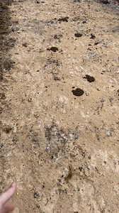 7.5K views · 678 reactions | Holy ice storm! Not to mention the wind…Some parts of this video are hard to hear because of the , but it gets better in the barn. | Megan DairyGirl | Facebook