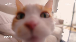 Zwölf Schicksale und berührend erzählte Lebenswege findet ihr in dem Buch MUTMACHERINNEN. Außerdem: Wer schaut eigentlich auf unsere Tiere, wenn die Urlaubssaison beginnt? ☀️ | LOOK Magazin | Facebook