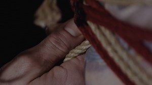 FLESH