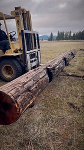 405K views · 6.7K reactions | Exposing the beauty still left inside #sawmill #woodworking #woodwork #custom #country #entrepreneur #bluecollar #smallbusiness #work #siy #foryou Norwood Portable SawmillsWells LamontSTIHLTroll Co. Clothing Ltd | Bearwoods Northwest | Facebook