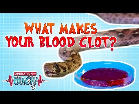 What Makes Your Blood Clot? | Operation Ouch | Science for Kids