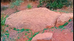 2.4K views · 555 reactions | Treasure hunting found Turtle spot symbol markings | Jm D Compass | Facebook