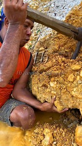 large scale gold nugget extraction that is stuck to the coral reef | Yundra Gold Hunter
