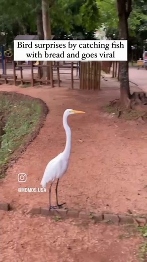 ADVENTURES VIDEO 🙋 PLEASE WATCH 💯#viral #mumbai #dubai🇦🇪 #istanbul #toronto #texas #california #trendingreels | Vikramsingh Shekhawat