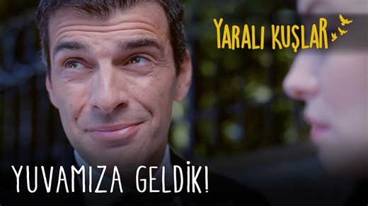 18K views · 309 reactions | Yuvamıza Geldik! | #YaralıKuşlar 101 | Wounded Birds - Yaralı Kuşlar | Facebook