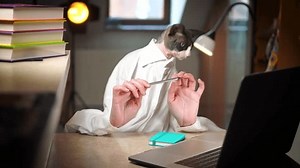 Drôle de chat canadien Sphynx mangeant : vidéo de stock (100 % libre de droit) 3892209675 | Shutterstock