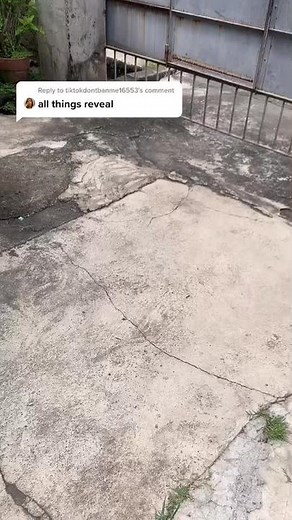 Reply to @tiktokdontbanme16553 this is all my baby alive things #fyp #babyalivethings #babyalive