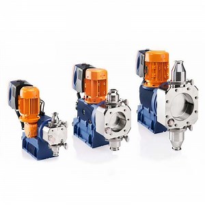 [Hot Item] Automatic Hygienic Sigma Motor-Driven Prominent Dosing Pump