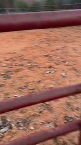 I am loving this time change! I didn’t get as long as I would have like before the sun went down. But 45 minutes is better than none. So ready to see what adventures this summer brings. 😎 | Rust Ridge Ranch L.L.C