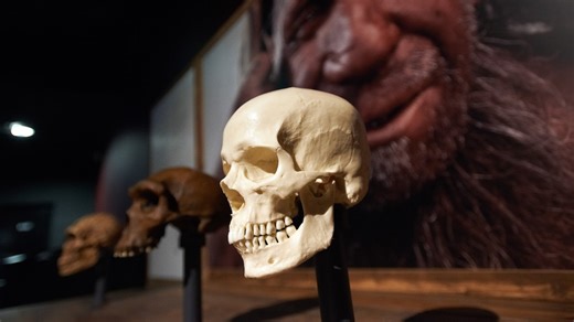 Discovering Homo naledi’s meaningful burials