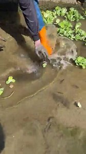 Ang lakas ng isda malaki pa | Angelo Alvarez