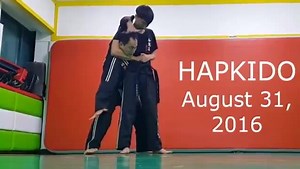 Master Jae Hun Lee. Amazing! 🙏🇰🇷️ | ALL Hapkido
