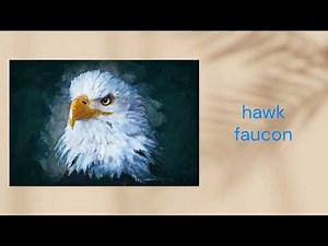 Anglais 6e. 2e partie du nouveau programme de vocabulaire. Niveau A1+