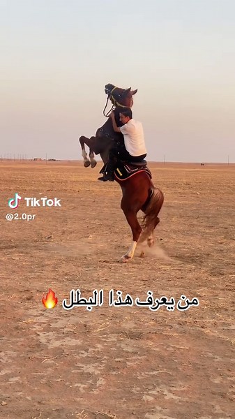 #عمر_السطام #رابطة_فرسان_ناحية_الحجاج #خيل_وخياله🐎 #نادي_الفروسية #نجف_بغداد_حله_ناصريه_كربلاء_كركوك_تكريت